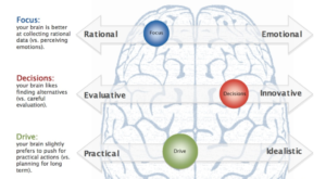 Brain Diagram 